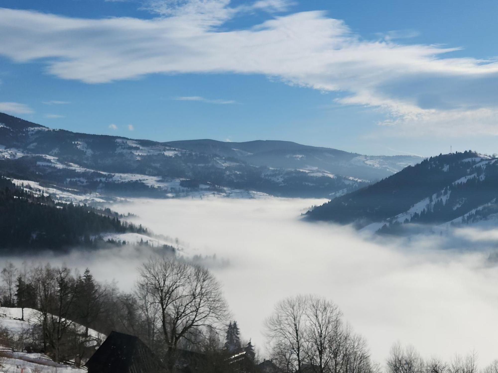 Cabana Lupul Din Apuseni Matisesti Exterior foto