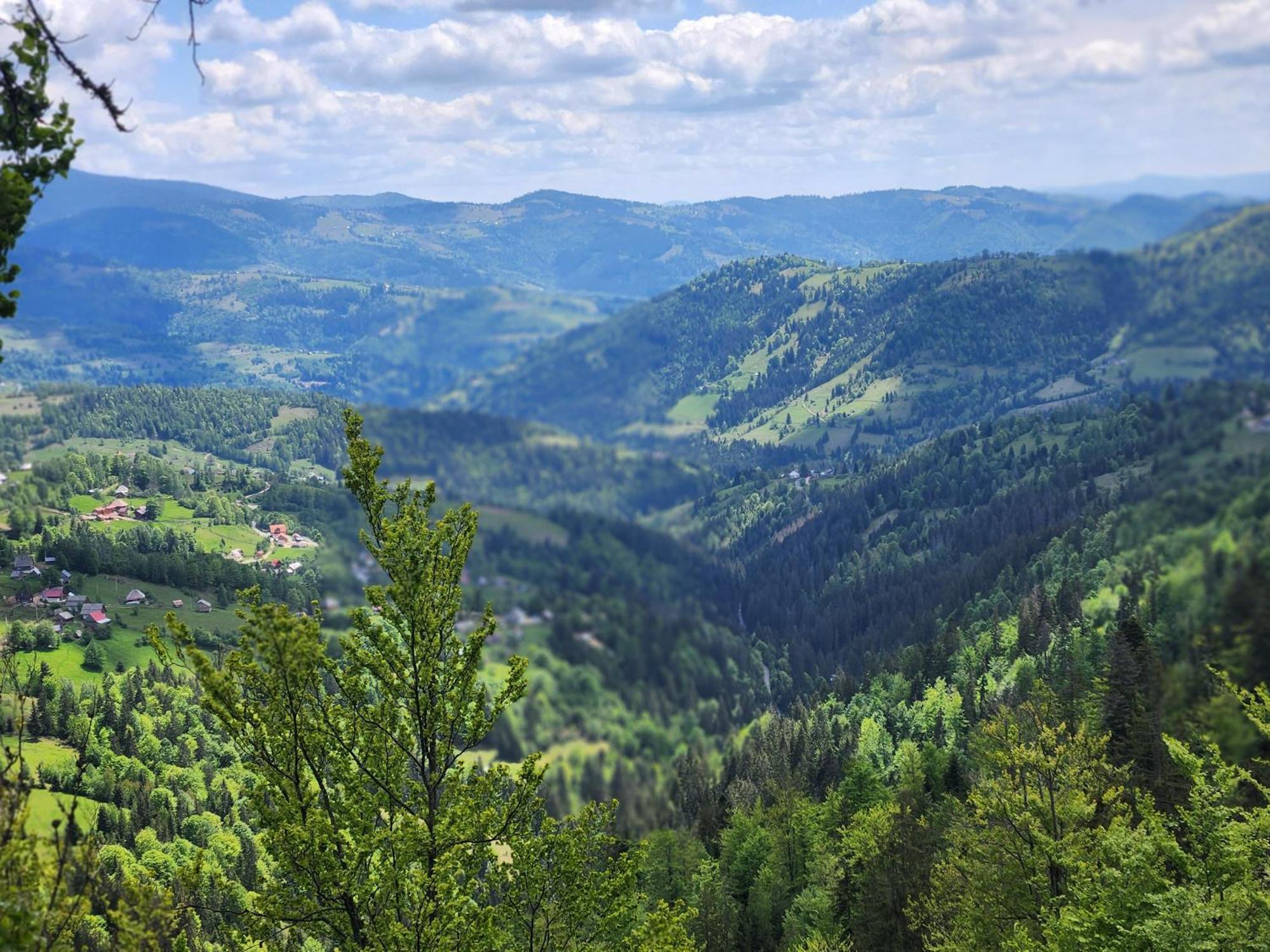Cabana Lupul Din Apuseni Matisesti Exterior foto